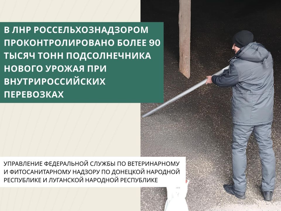 � ��� ������������������ ����������������� ����� 90 ����� ���� ������������� ������ ������ ��� ���������������� ����������