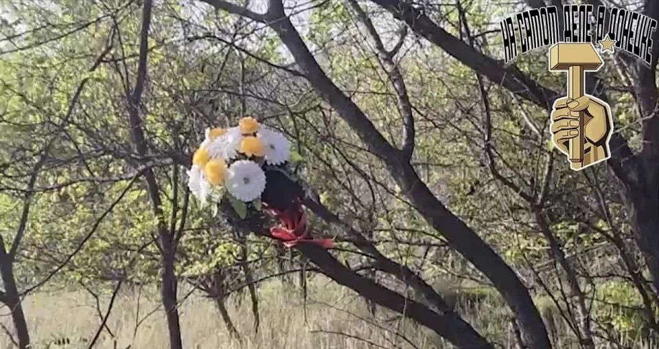 ��� ����-�� ������ � �������: �� ��� ���� ����� ����, �� ���, �***�, ��� ������ ����