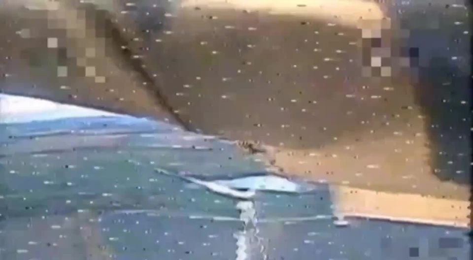 Российский БПЛА-камикадзе поразил ветрогенератор под Краматорском