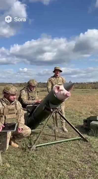 Вот и пролетела ещё одна рабочая неделя