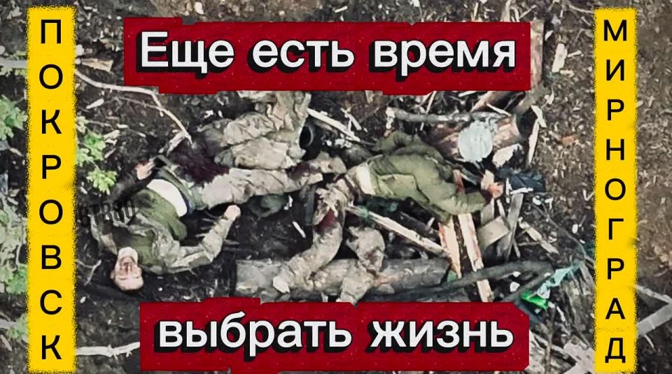 ���������� ����������� (26.10.25): �� �� ���������� ���������� ��������� � ���������� �����������