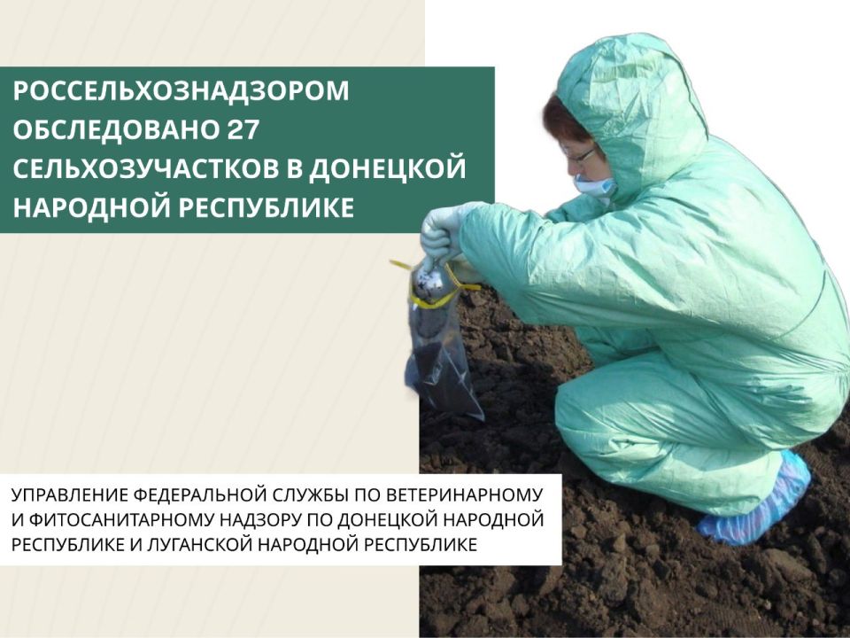 Сотрудники Управления Россельхознадзора по Донецкой Народной Республике и Луганской Народной Республике с 1 января по 22 октября 2025 года обследовали 27 земельных участков сельскохозяйственного назначения в Донецкой...