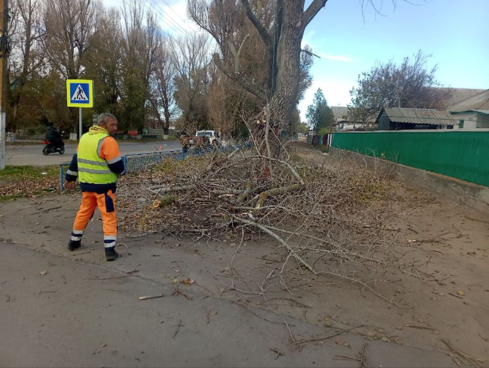 ������� �������: �� ���������� ��������� ����� ��� �.�. ��������, � ����� ��� � ������ ������� ������ �� ����� ������� �����, �� ��������, ������ ������� ������� �������� ������������ � ���� ��������� �������� �� ����������...