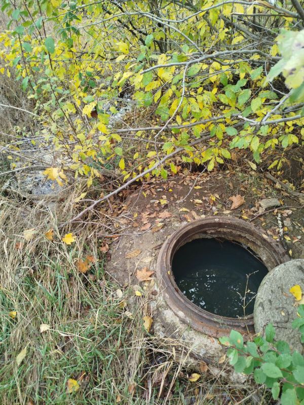 ������� ����������: ��������� ������ �� ���������� ��������� �������� �� �������� � ����������