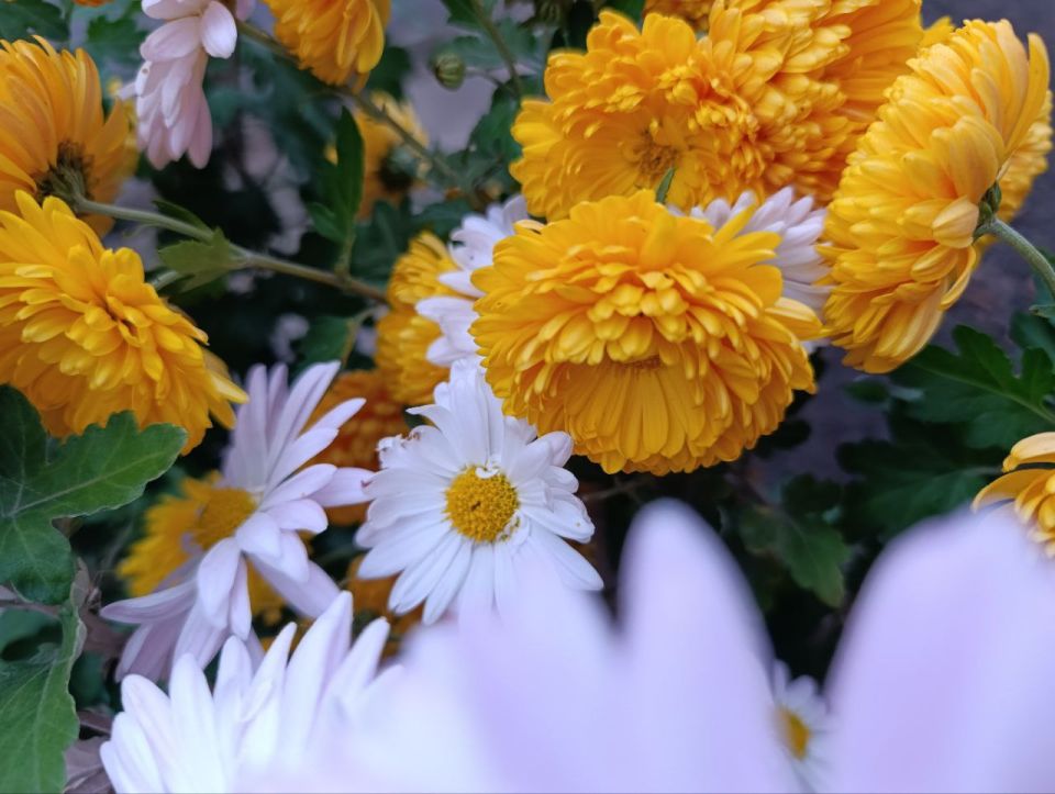 Доброе утро, Амвросиевский муниципальный округ!