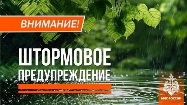 МЧС ДНР предупреждает:. Ночью и утром туман, днем и вечером дождь, местами сильный дождь, порывы ветра до 20 м/с в ДНР, по акватории Азовского моря ночью небольшой дождь и порывы ветра до 14 м/с, утром и днем сильный дождь...