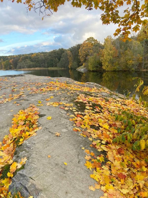 ������� ������: �����������!. ������� ���� ����� ���� � ����� � ����� �����