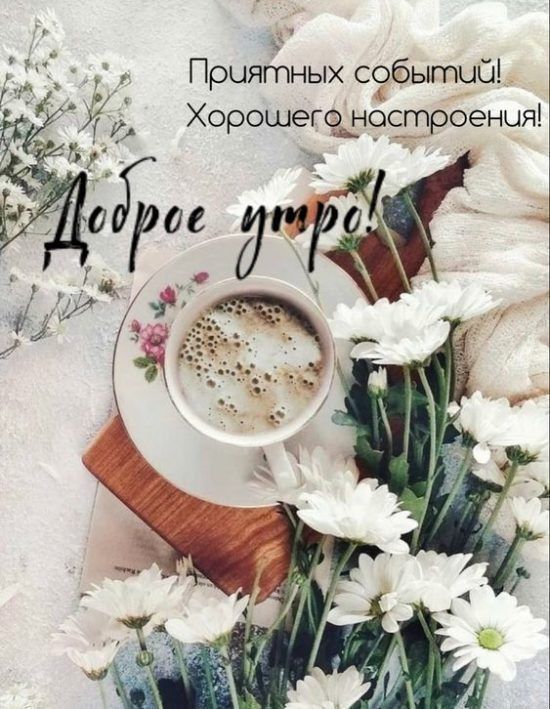������ ����!. ����������� ���� �������������
