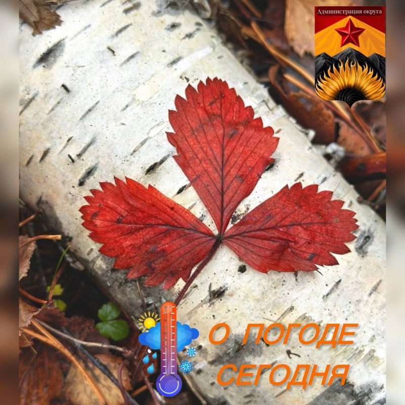 Ночью и утром туман, днем и вечером дождь, местами сильный дождь, порывы ветра до 20 м/с ожидаются 27 октября