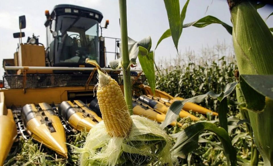 В ДНР завершается уборка технических культур: собрано свыше 98 тысяч тонн урожая