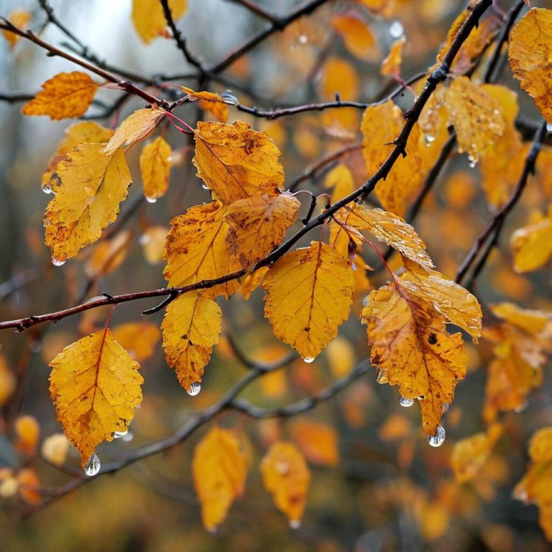 ����� ����������: � ������� ���������� ����� ���������� ������ �� ���������� ������� � 41 �� �� ����� ��� �������� ����� 27 ��. � ��������� � 40 ��. ��� �������� ������� ����� �������� �������� � �� ������ ����������, �...