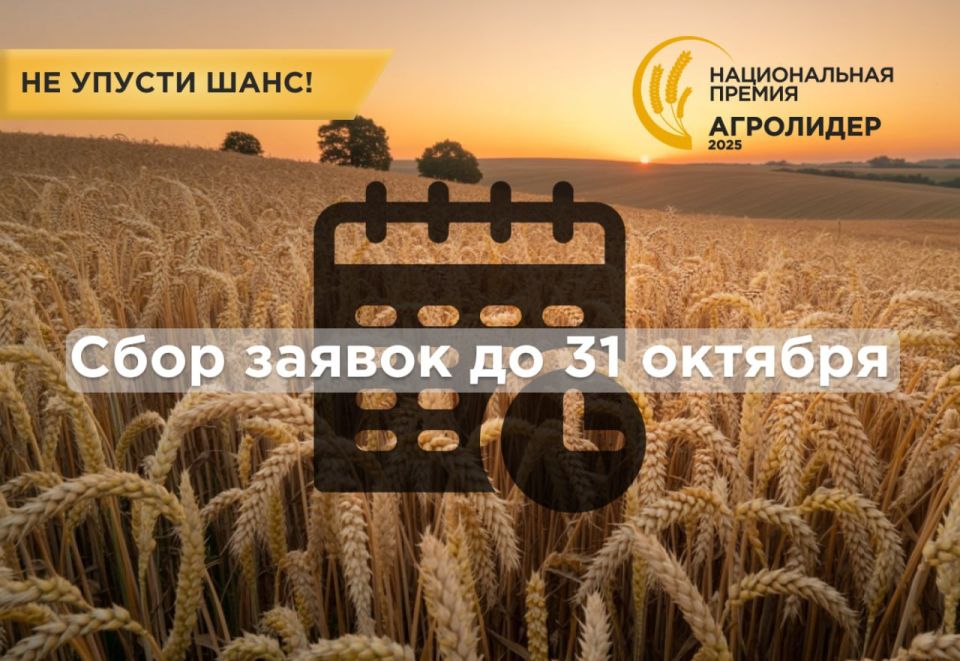 ������ ���� ������ �� ������� � ���������� ������ ���������� 2025�