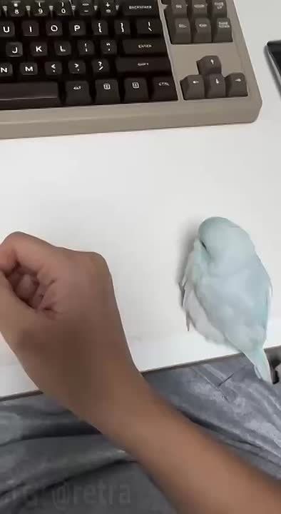 ��� � ��� ��� ��������?. ������ � ���, ��������� ������� ������������� � ��������