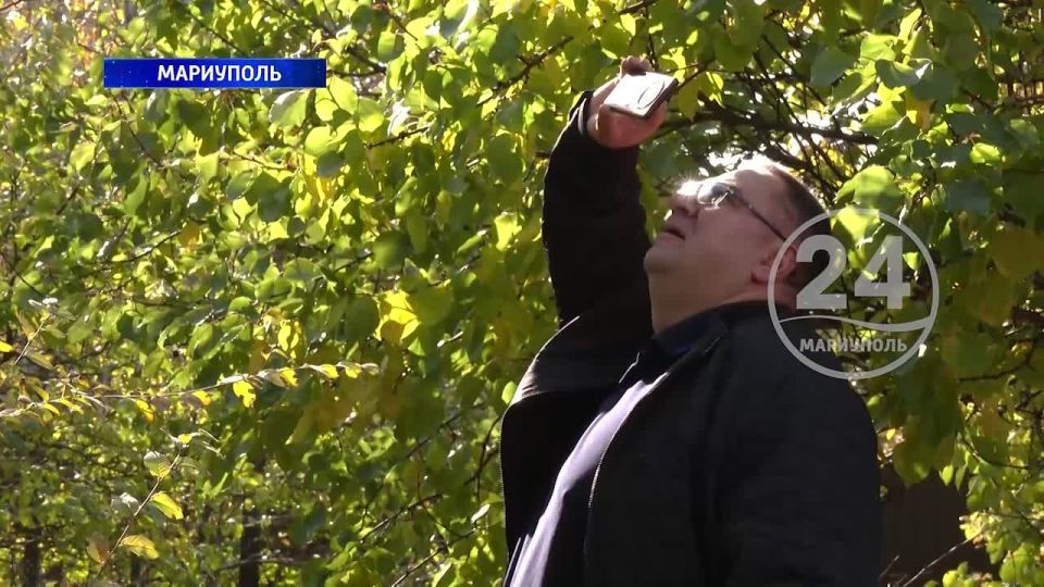 Жители частного сектора в Приморском районе Мариуполе уже четыре дня без электричества! 28.10.2025