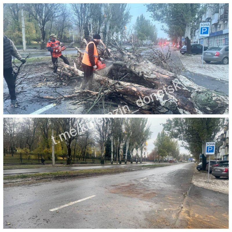 ������� ��������: ���������� ������������� ����������� ������� ������������� ���������� ��������� ������ �� ��������������� �� ���� ������� ������ ������