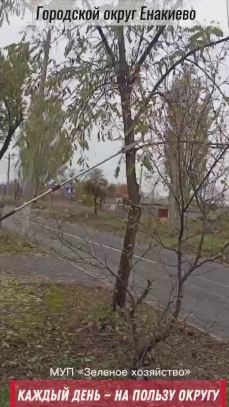 ������� ���� � �� ������ ������