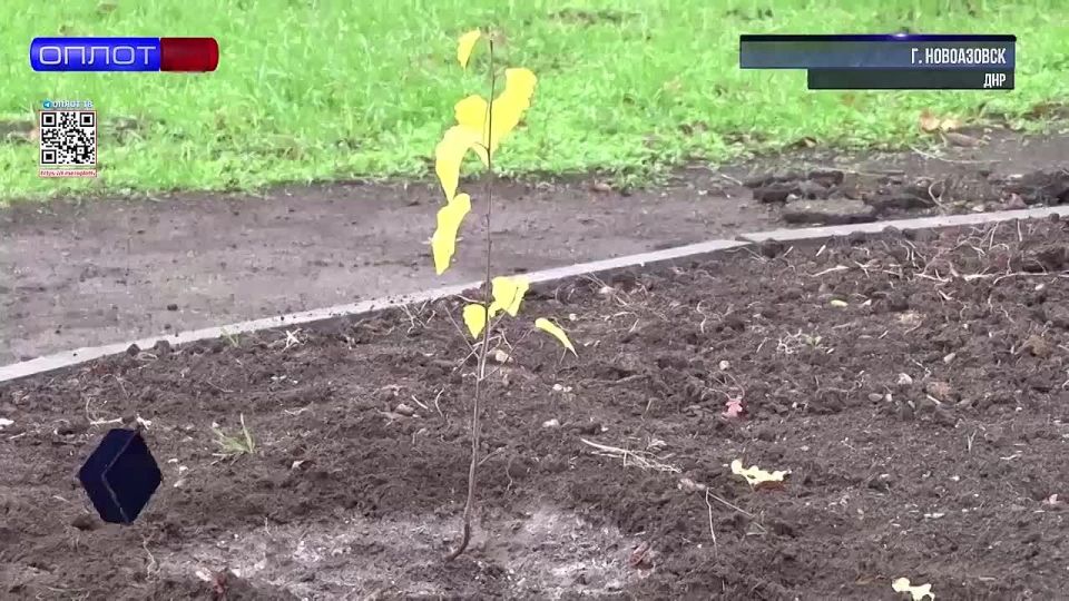 ���� �������� � �����������