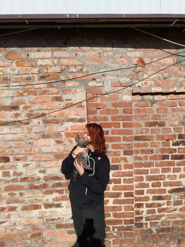  :  ,         ,      -      ,   