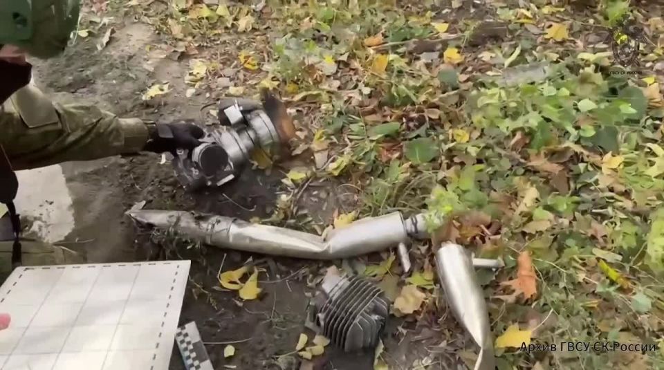 ������������� �� ������ ������������� ��������� �������� ���������� ���, ����������� ���
