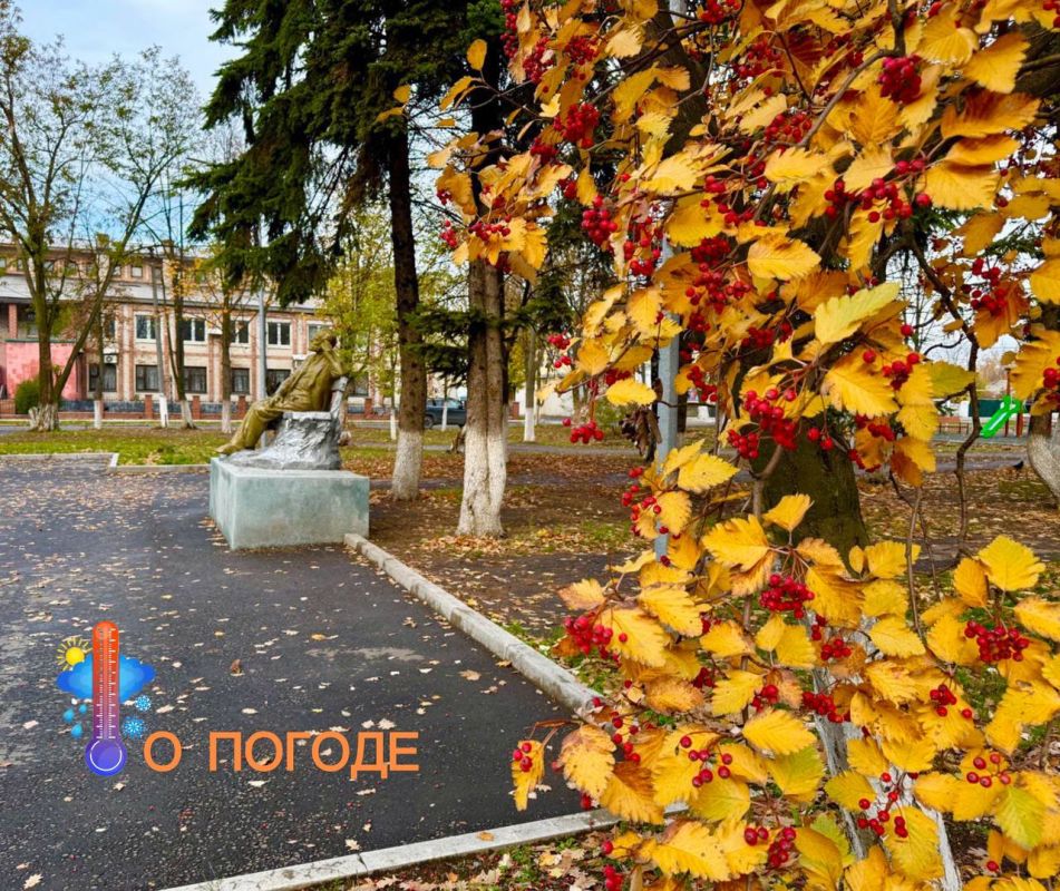 Александр Шатов: Небольшой и умеренный дождь, порывы ветра до 14 м/с, ночью и утром местами туман ожидаются в Республике 29 октября