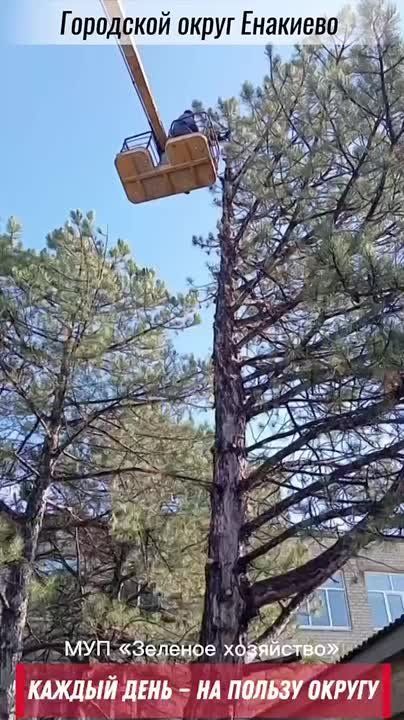 «Каждый день — на пользу округу»