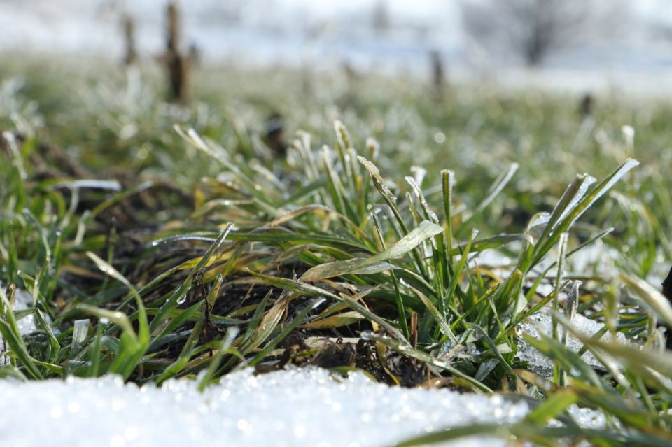 ��� ������ 2026 ���� ����������� ������� 185,7 ���