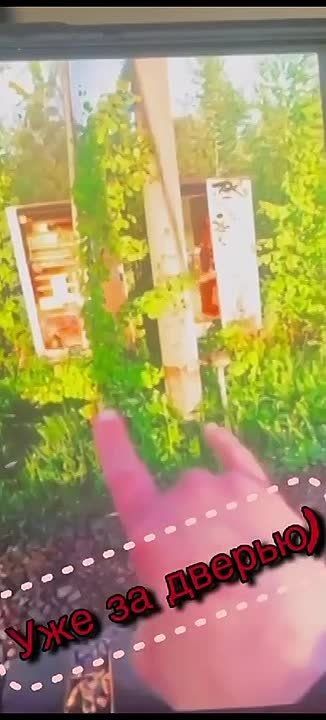 "Знакомые" пообещали вам легкие деньги?