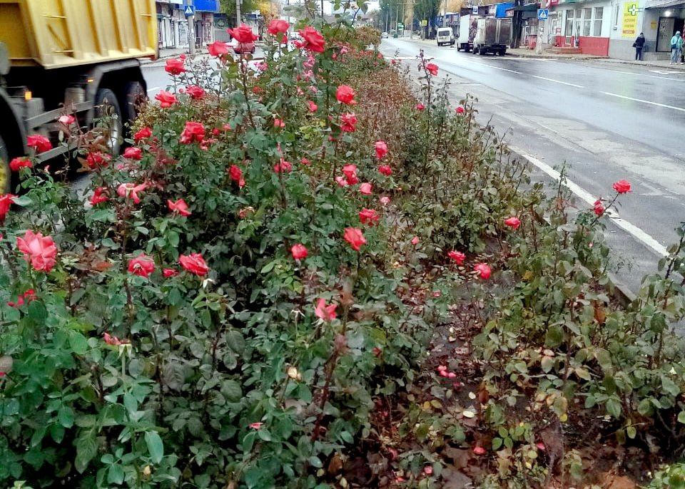 ���� ������: � ������������ ������ ������������� ����������� ������� ������������� ���������� �������� ������ �� ���������������