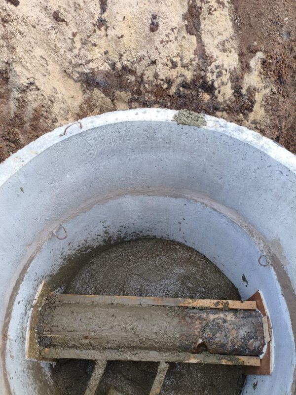 ����� �����: � ������� ������������ ������ �� ������������� ��������������� ���� ��� ��������� ������������� �������