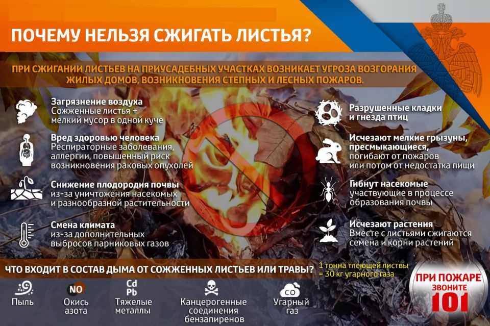 Администрация Амвросиевского муниципального округа напоминает: