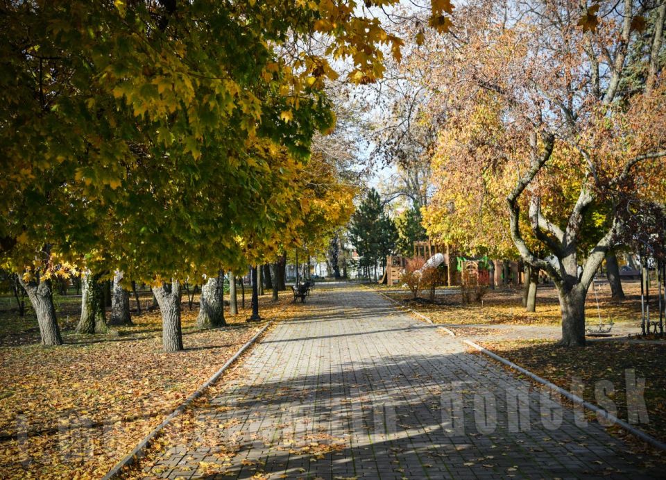 ������� ��������: ����� � �������. ���� ������� �����