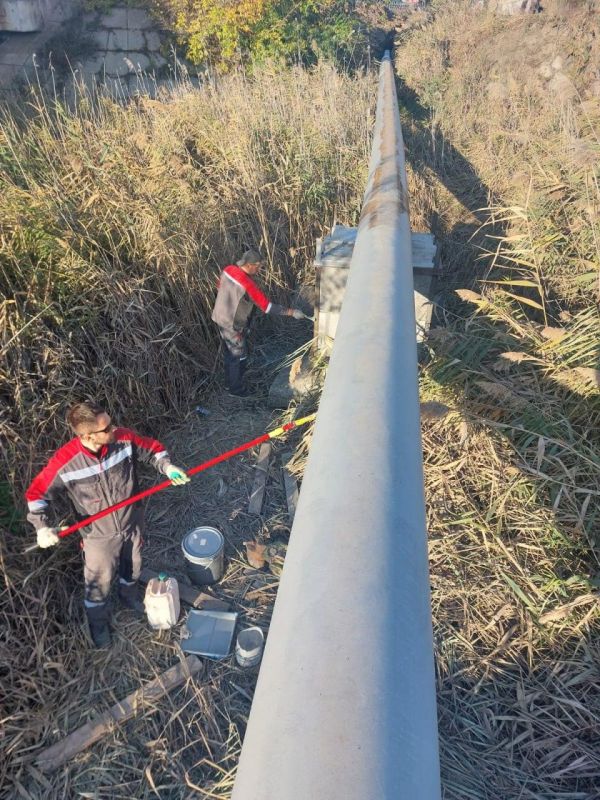 ����� �����: ���������� ������������� ������� ���������� ���������� ����� ������������� � ������