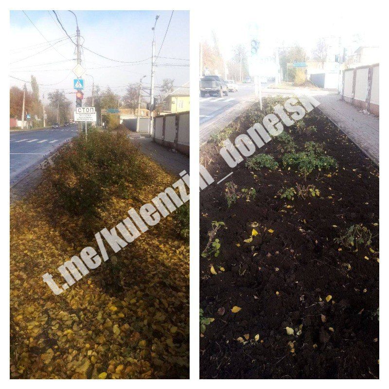 ������� ��������: ����������� ������������� ����������� ������� ������������� ���������� ��������������� �� ���� ������� ������ ������