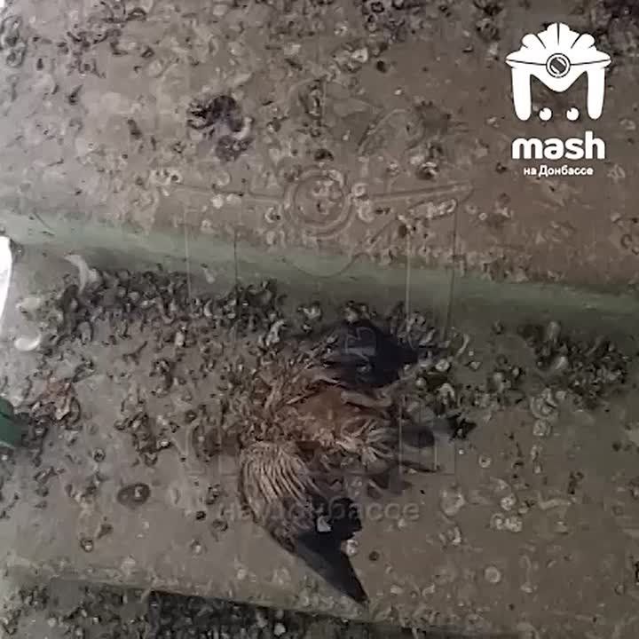 ������ ��������� �������� �� ������� ����� ���� � ������ �������