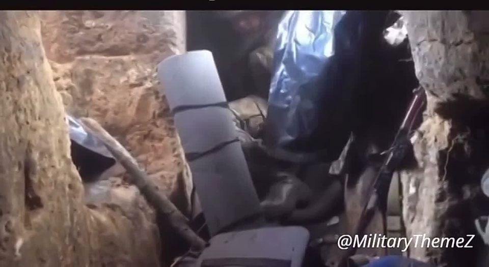 ���������� � ���������� ��������� �� ���������� ����������� ��� ���������