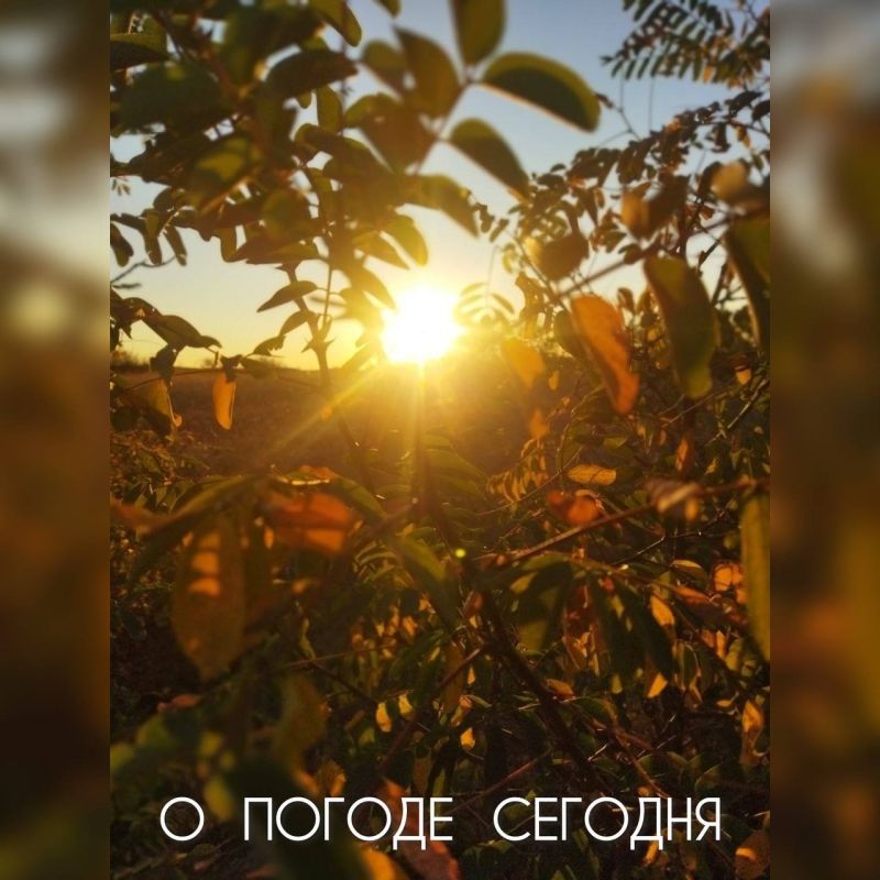 Александр Шатов: Небольшой дождь и туман ожидаются 30 октября в Республике