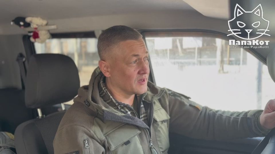 �������� - ����������� �������� �����������, ��������� ��������