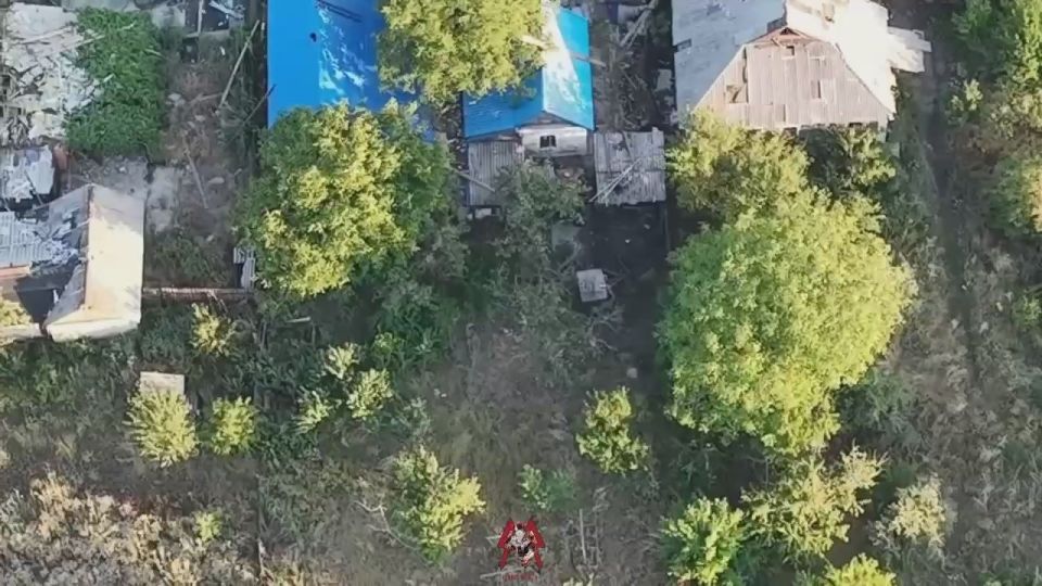 ����� �� ��������� ���� ���������� ������������