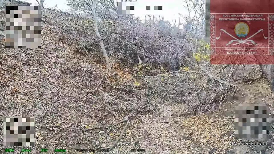 У наших войск на всех направлениях всё