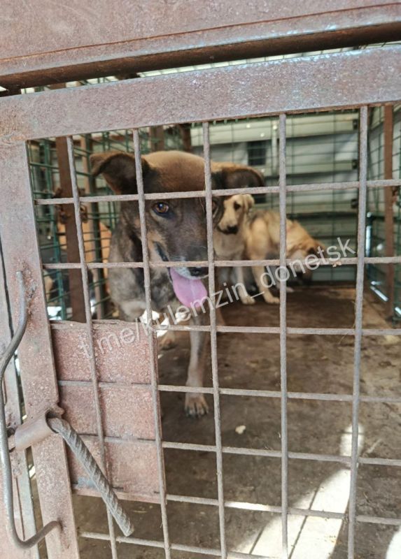 ������� ��������: ��������� ���������� ����������� ��������� � ������ ������� ��������� � ��������� ��������, �������� �� ����������� ������