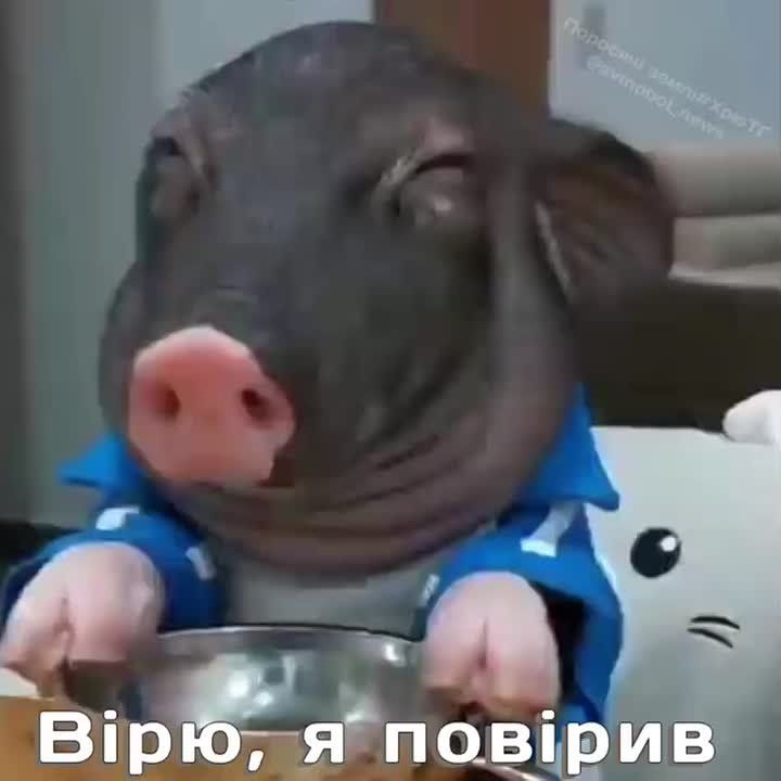 "���������" ��� �����, �� ������ ������ ������ ��� �������� ������