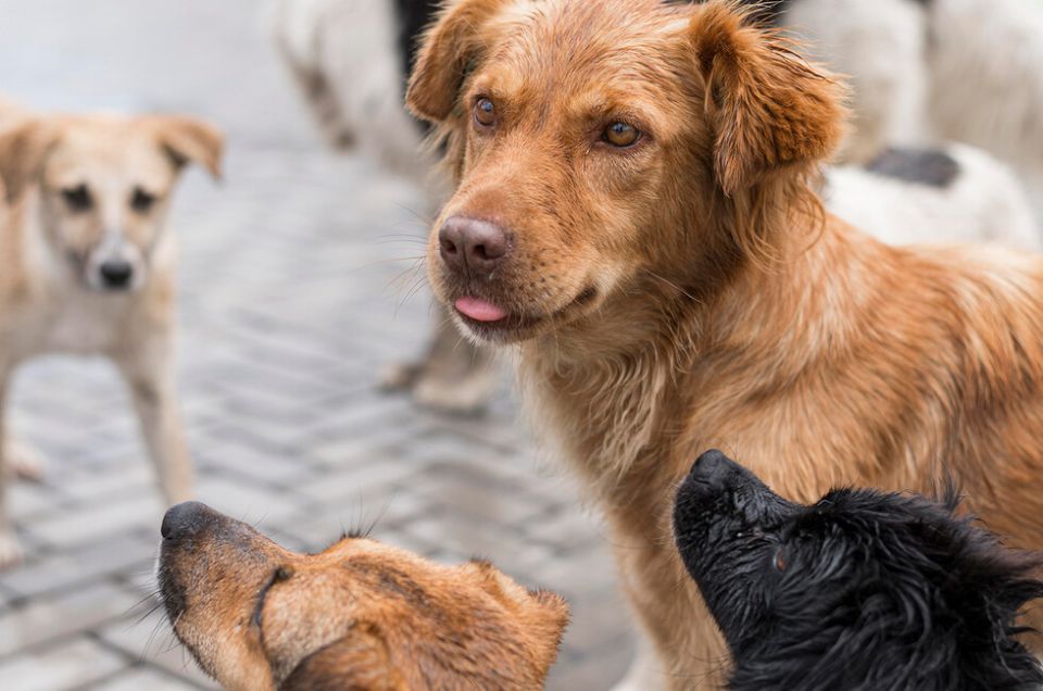 ����������� �� ������ ������� ��������� � ���������� ����������� ��������� �����