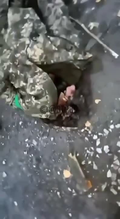 ������� �������: "�������� - �������!"