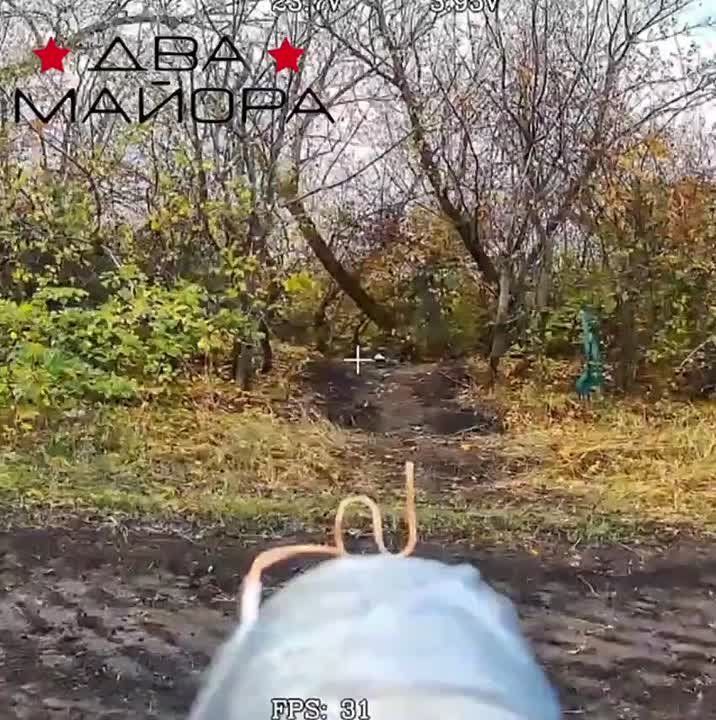 ��� ������: ���������-���������������� �����������