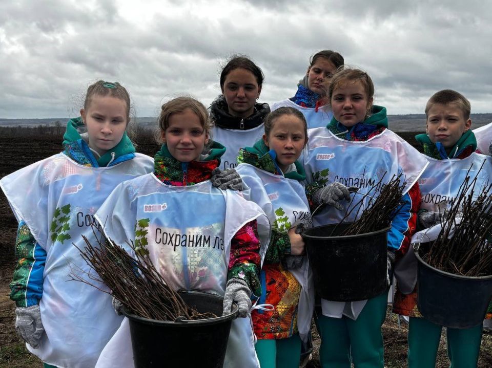 Владимир Ежиков: В этом году восстановим 40 га насаждений в рамках акции «Сохраним лес»