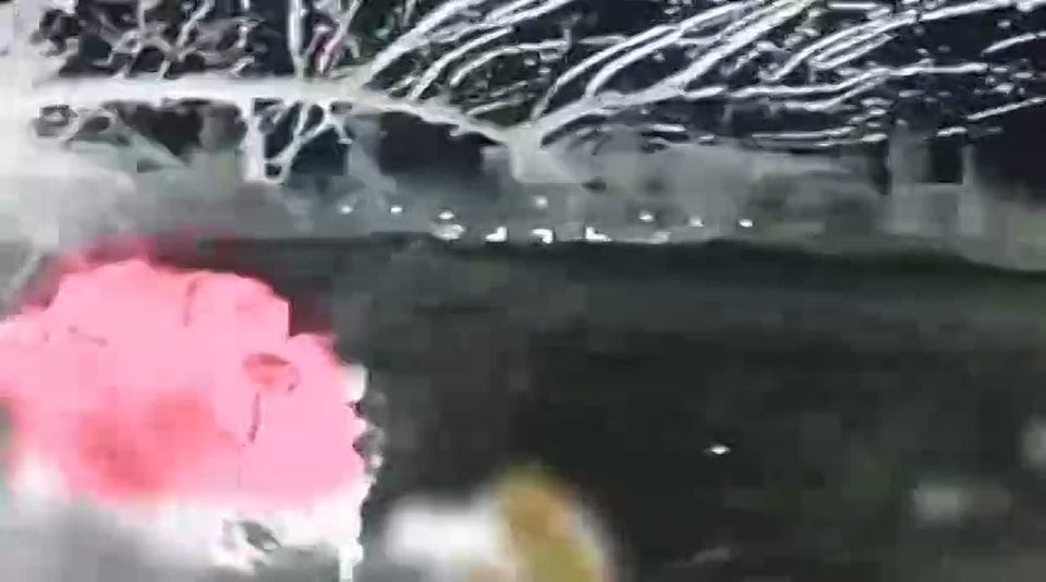 ������������� ��� ������ ������������ ����������� ������ ����������� �������� ��� ���������� �� "��������" � ����������������