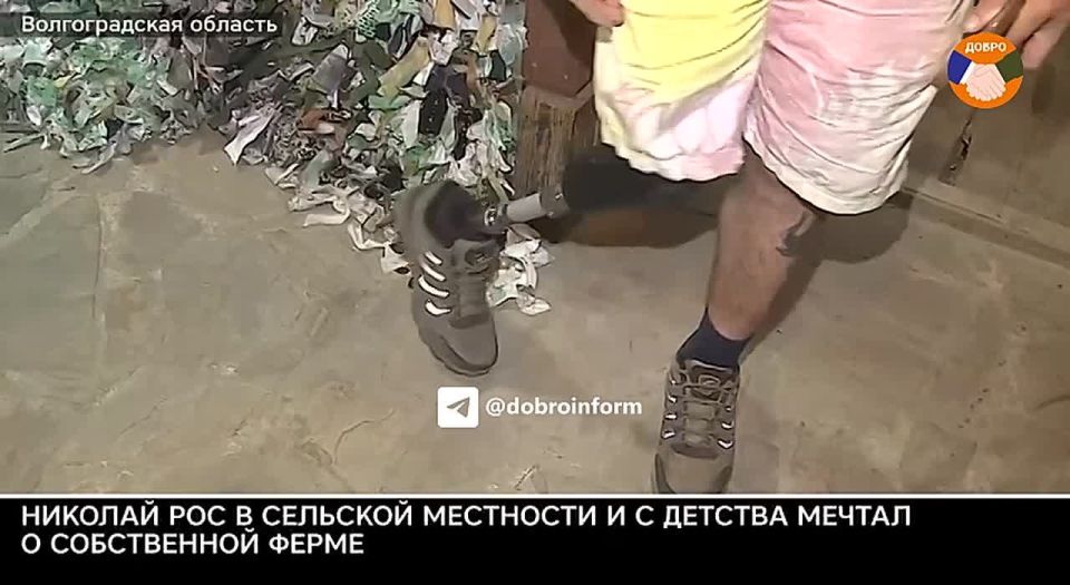 Фермерство и помощь товарищам: как ветеран СВО из Волгограда нашел себя в мирной жизни
