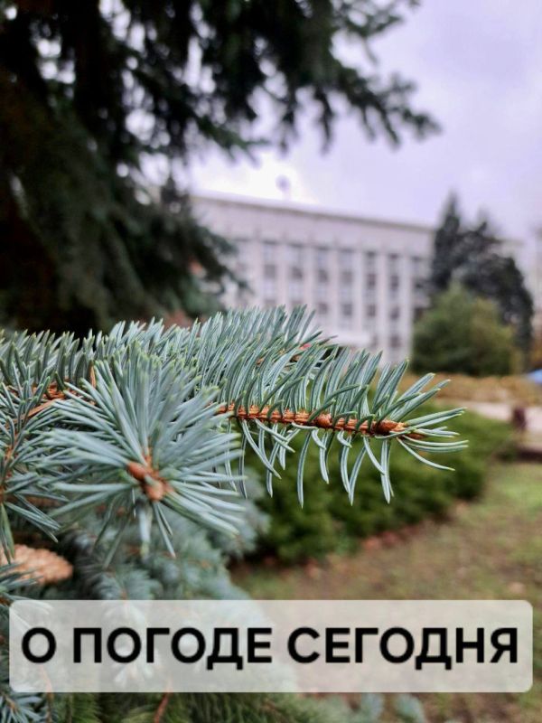 Александр Шатов: 1 ноября в ДНР:. облачно с прояснениями, днем возможен небольшой дождь температура воздуха: ночью 5-8° тепла, днем 10-12° тепла