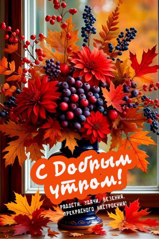 #доброе_утро