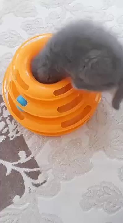 ���? ����!